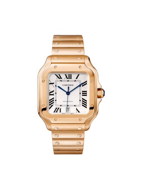 Cartier Sandoz 2 