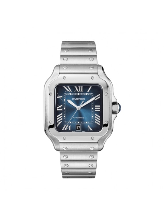 Cartier Sandoz WSSA0030 