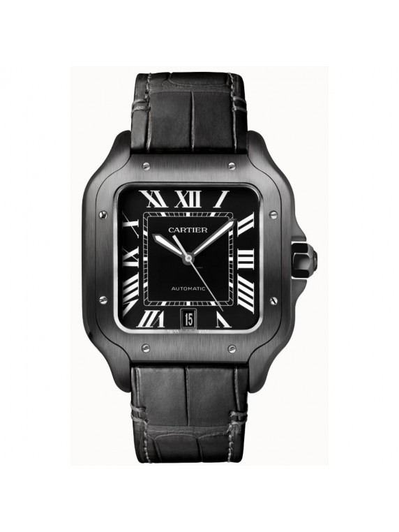 Cartier Sandoz WSSA0039