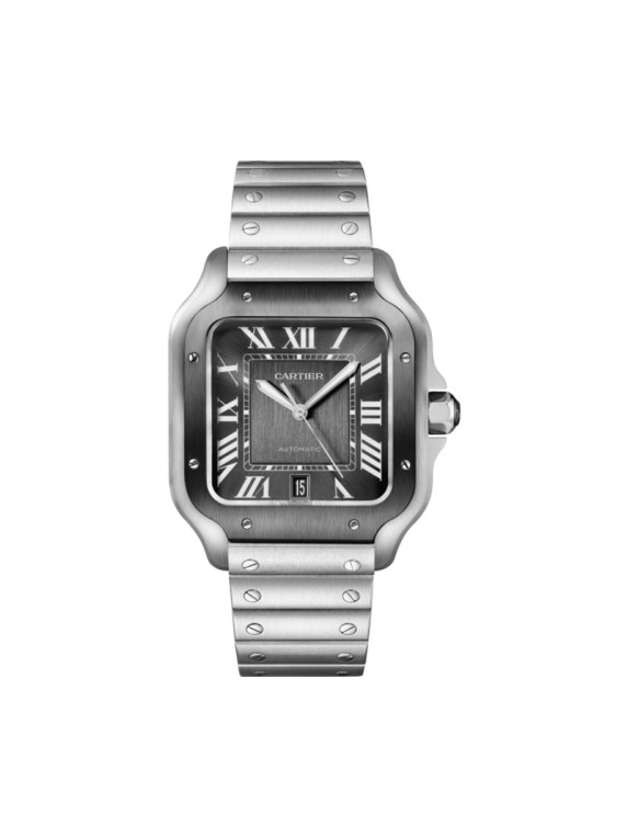 Cartier Sandoz WSSA037 