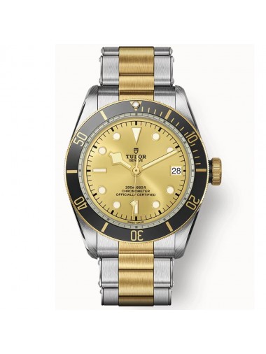 Tudor biwan79733N-0004